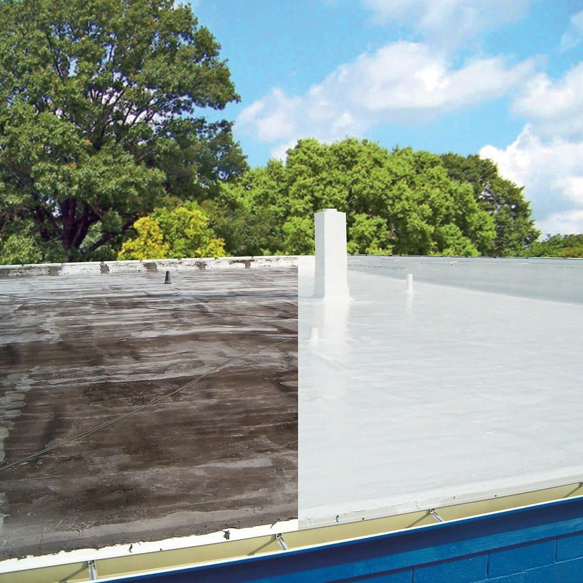 Silicone Coating Whittier